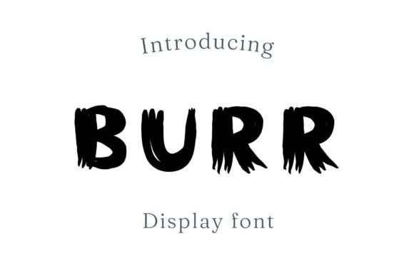 Burr: A Bold Display Typeface for Editorial Confidence