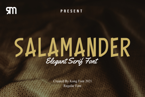 Salamander: A Modern Display Font for Handmade Brands