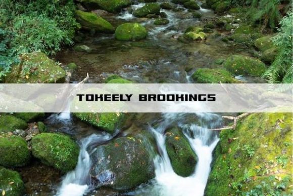 Tokeely: A Confident Display Font for Digital Branding